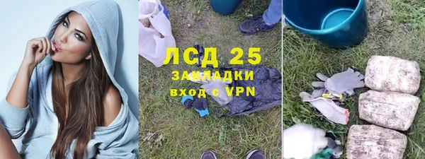 индика Алзамай