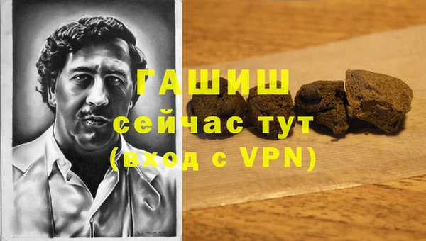 индика Алзамай
