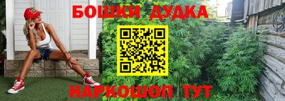 гидра Кингисепп