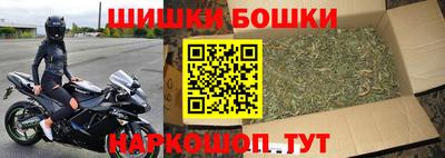 гидра Кингисепп