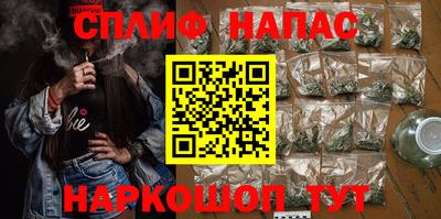 гидра Кингисепп