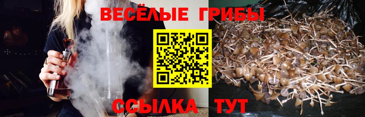 Лысьва  Псилоцибиновые грибы MAGIC MUSHROOMS  Галлюциногенные грибы Psilocybe  Вход с VPN 