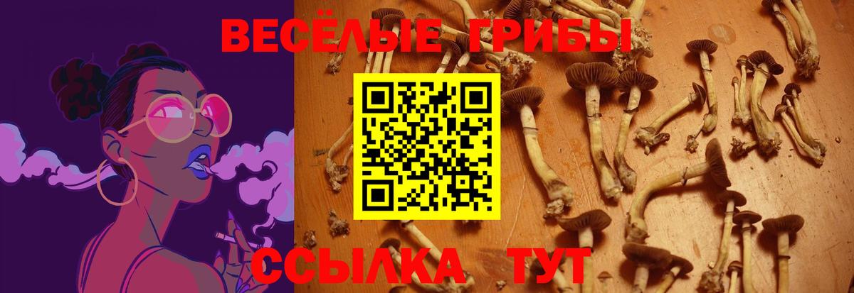 Галлюциногенные грибы прущие грибы Лысьва